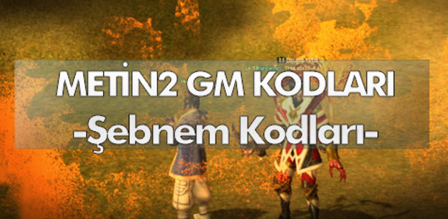 Metin2 Şebnem Kodları